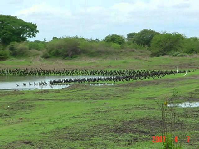 en que comunidades es fiesta el 19 de marzo