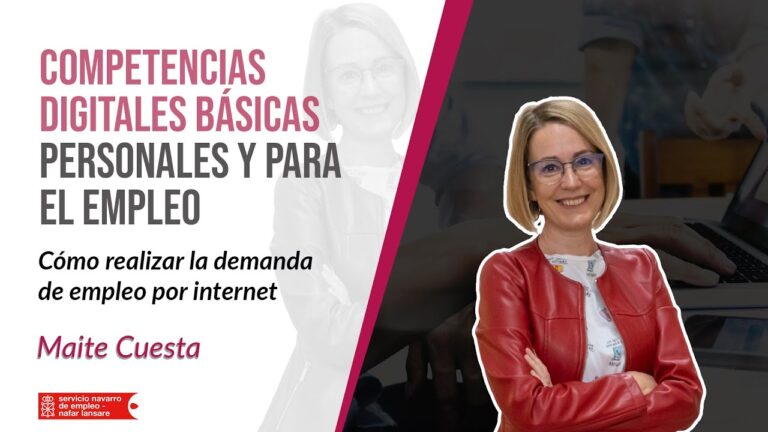 gestion de la demanda de empleo por internet