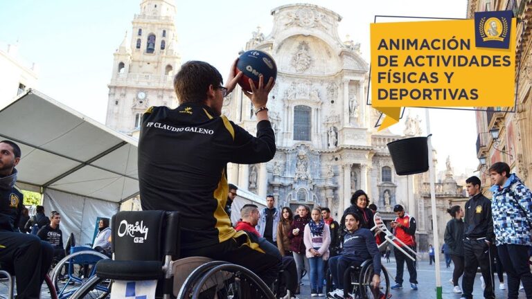 grado superior en animacion de actividades fisicas y deportivas