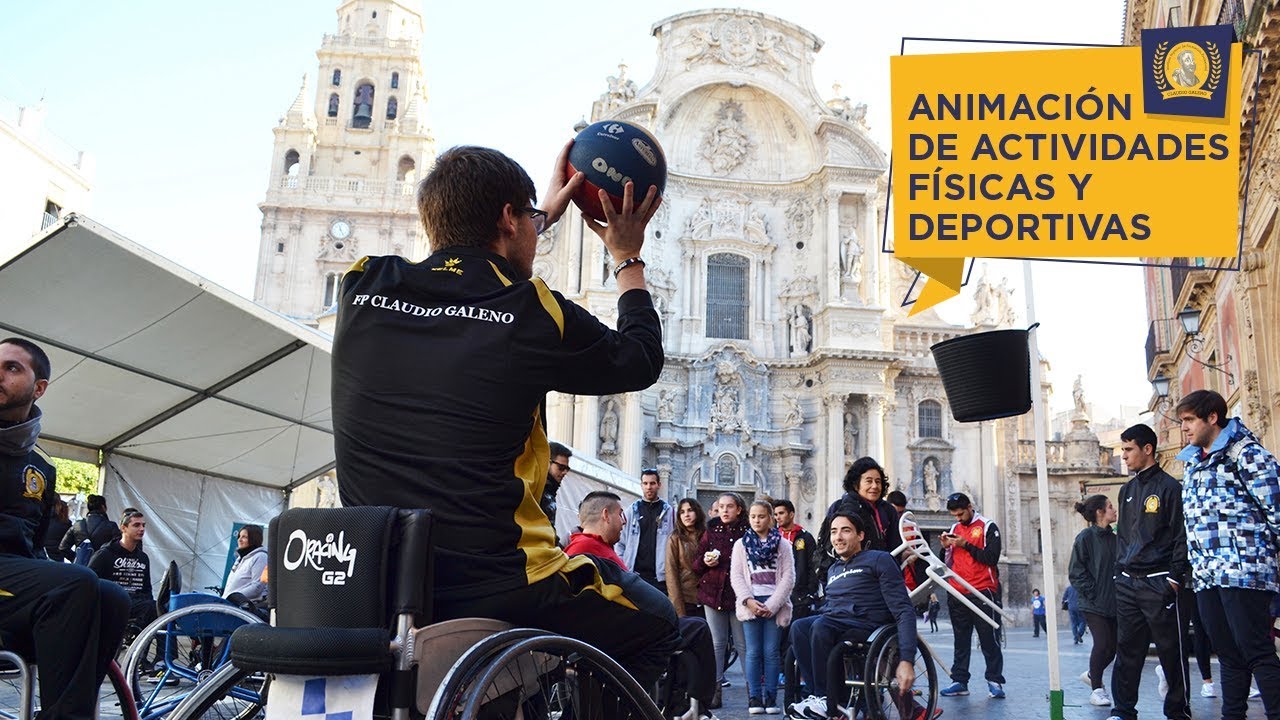 grado superior en animacion de actividades fisicas y deportivas