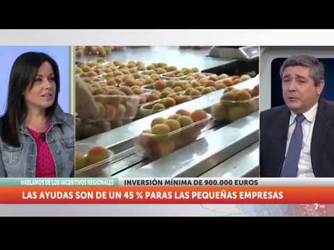 instituto de fomento de la región de murcia