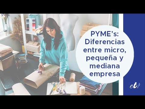 instituto de la pequeña y mediana empresa industrial