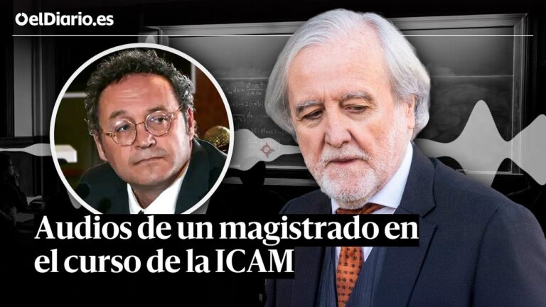 juzgado primera instancia 6 sant feliu de llobregat