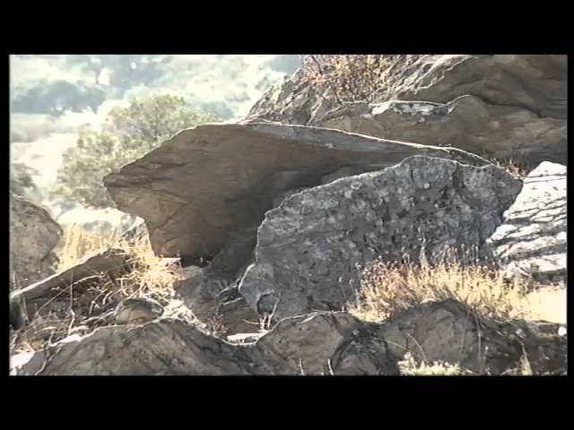 la costa mediterranea andaluza esta influenciada por sierra morena