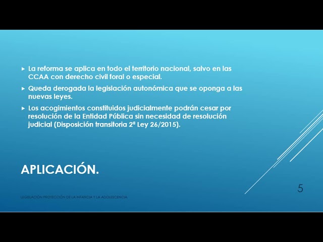 legislacion estatal en materia de proteccion de menores