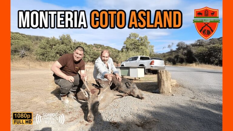 ley 1 1970 de 4 de abril de caza