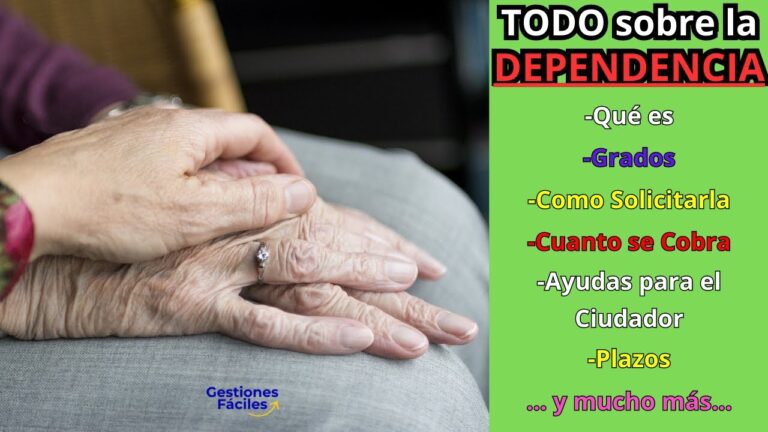 ley de dependencia grado 2 nivel 1 cuantia