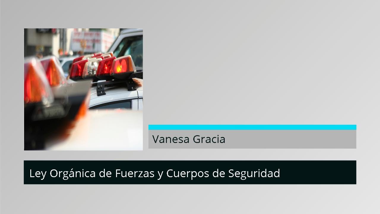 ley organica de fuerzas y cuerpos de seguridad