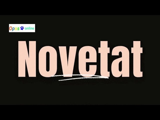 llei municipal i de règim local de catalunya