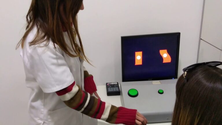 los vehículos con permiso para ensayo o experimentación