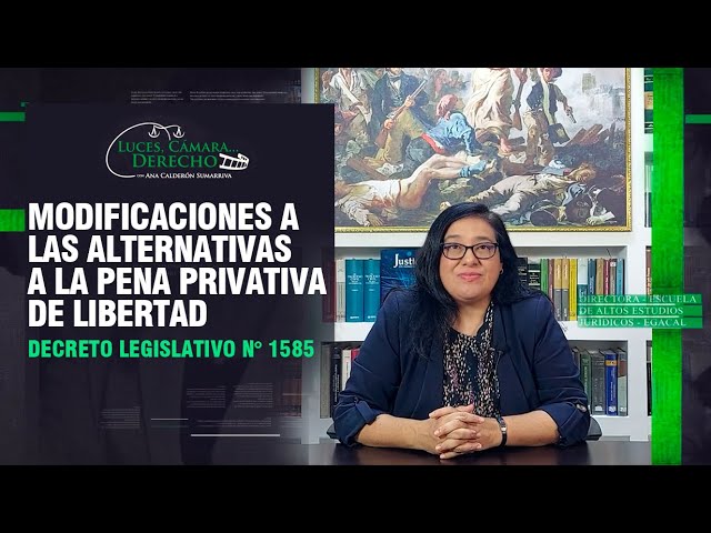 medidas alternativas a las penas privativas de libertad