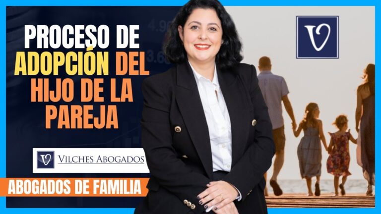 modelo de demanda de adopcion del hijo del conyuge