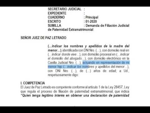 modelo de demanda de filiacion nuevo codigo civil