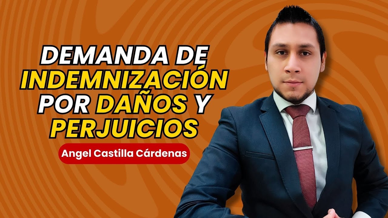 modelo de demanda de indemnizacion por daños y perjuicios españa