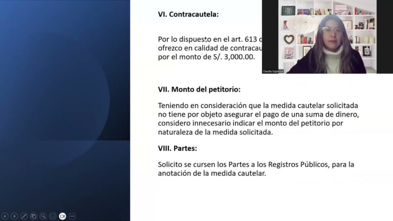 modelo solicitud medida cautelar anotacion preventiva de demanda