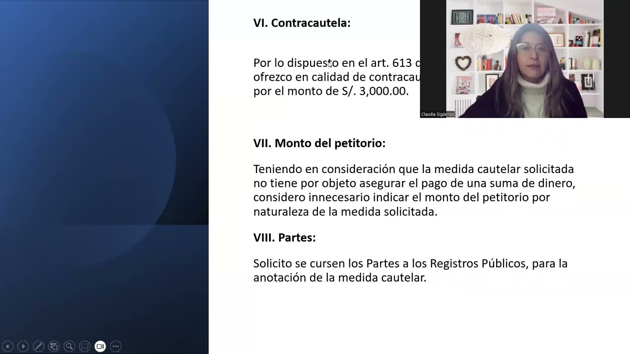 modelo solicitud medida cautelar anotacion preventiva de demanda