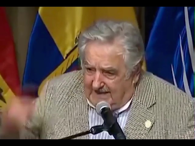 no puedes ir al supermercado y comprar vida