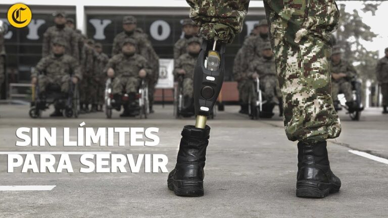 oficina de atención a la discapacidad en las fuerzas armadas