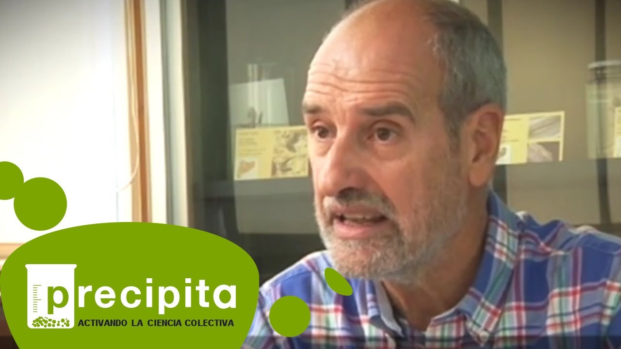 ordenanza general del medio ambiente urbano de barcelona