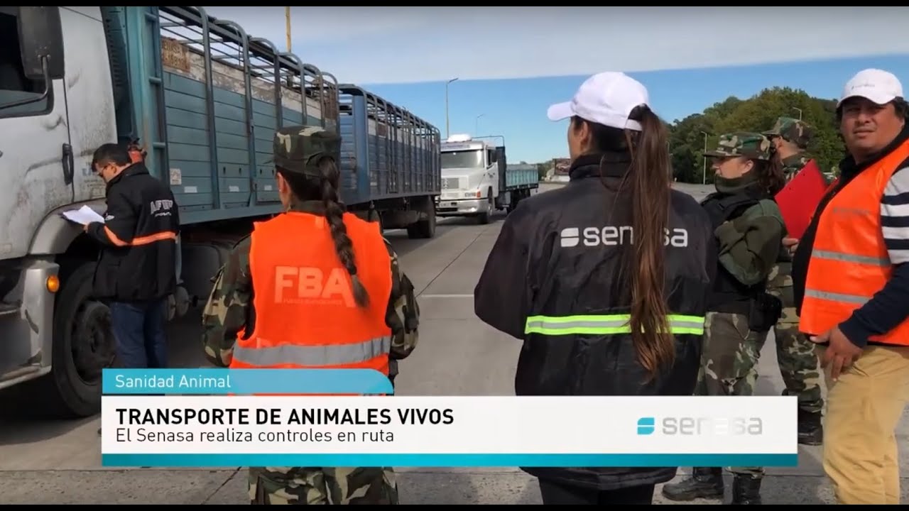 para el transporte de animales es necesario contar con