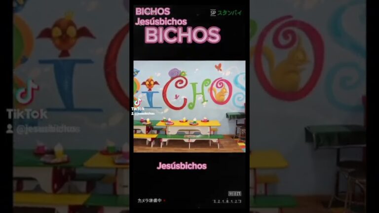 parque de bolas fantasia san vicente del raspeig