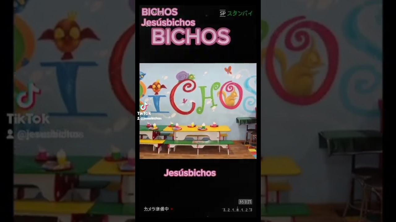 parque de bolas fantasia san vicente del raspeig