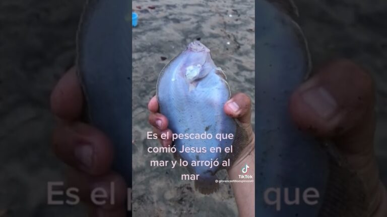 pez parecido al lenguado pero con forma romboidal