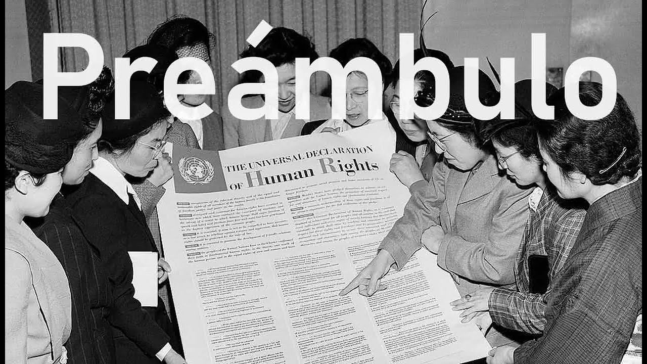 preambulo de la declaracion de los derechos humanos
