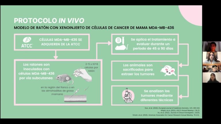 principio de las tres erres en la experimentación animal