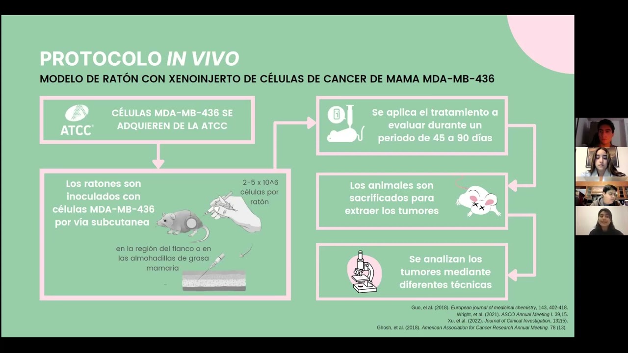 principio de las tres erres en la experimentación animal