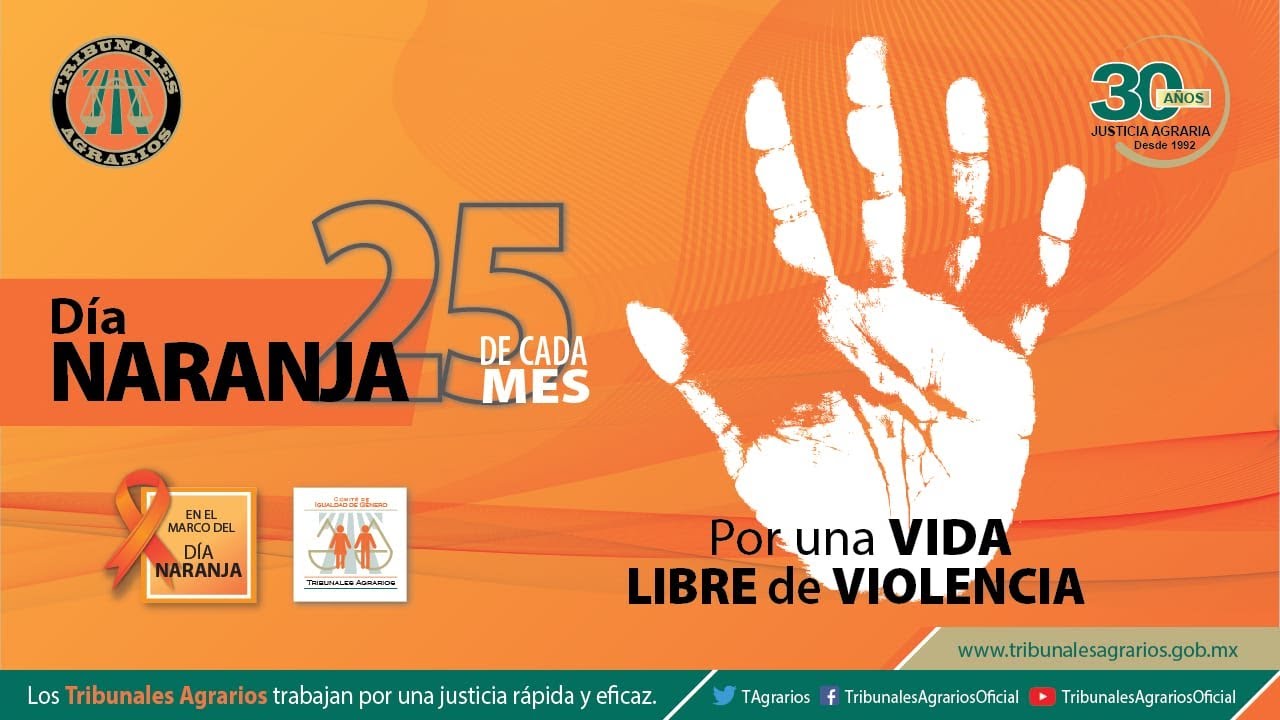 que dia es el dia contra la violencia de genero