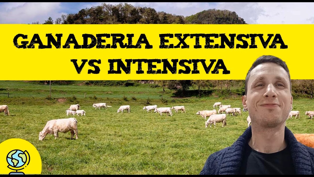 que es la ganaderia intensiva extensiva y de autoconsumo