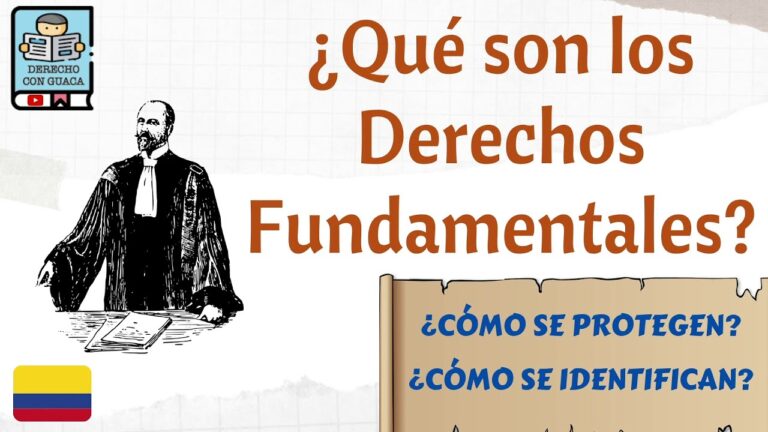 que son los derechos fundamentales y cuales son