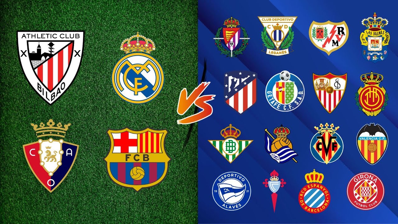 que tipo de sociedad es un club deportivo