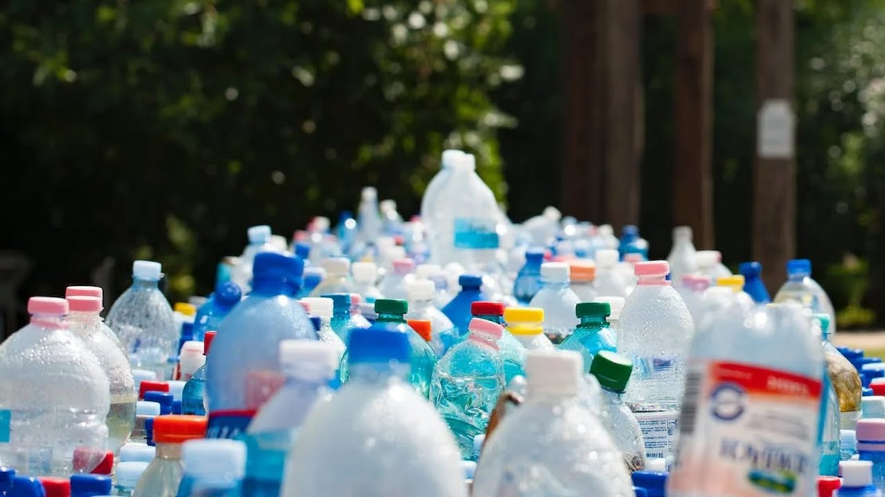 quien establecio el dia mundial del medio ambiente
