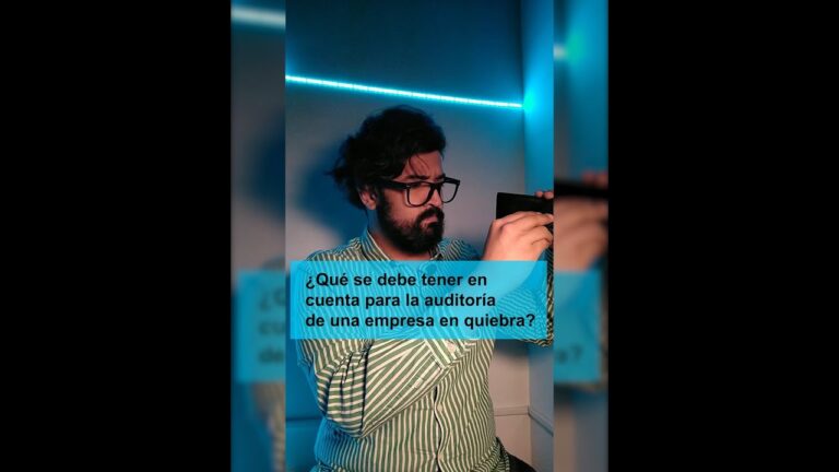 quien puede solicitar una auditoria contable a una empresa