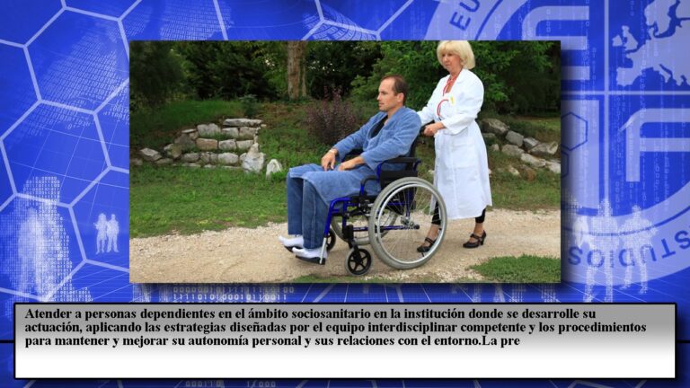 real decreto 1379 2008 de 1 de agosto