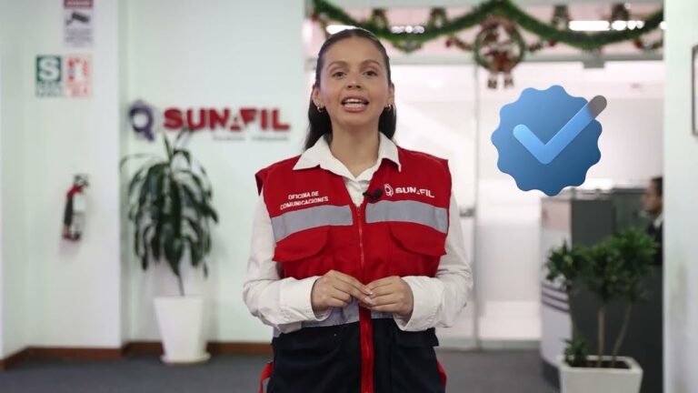 registro del comite de seguridad y salud laboral