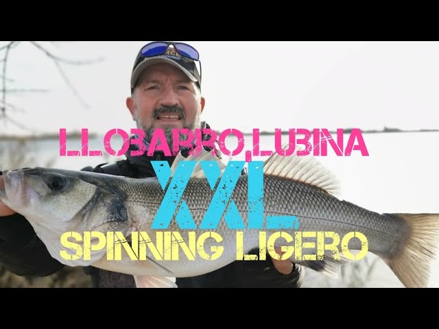 salidas de pesca en el delta del ebro