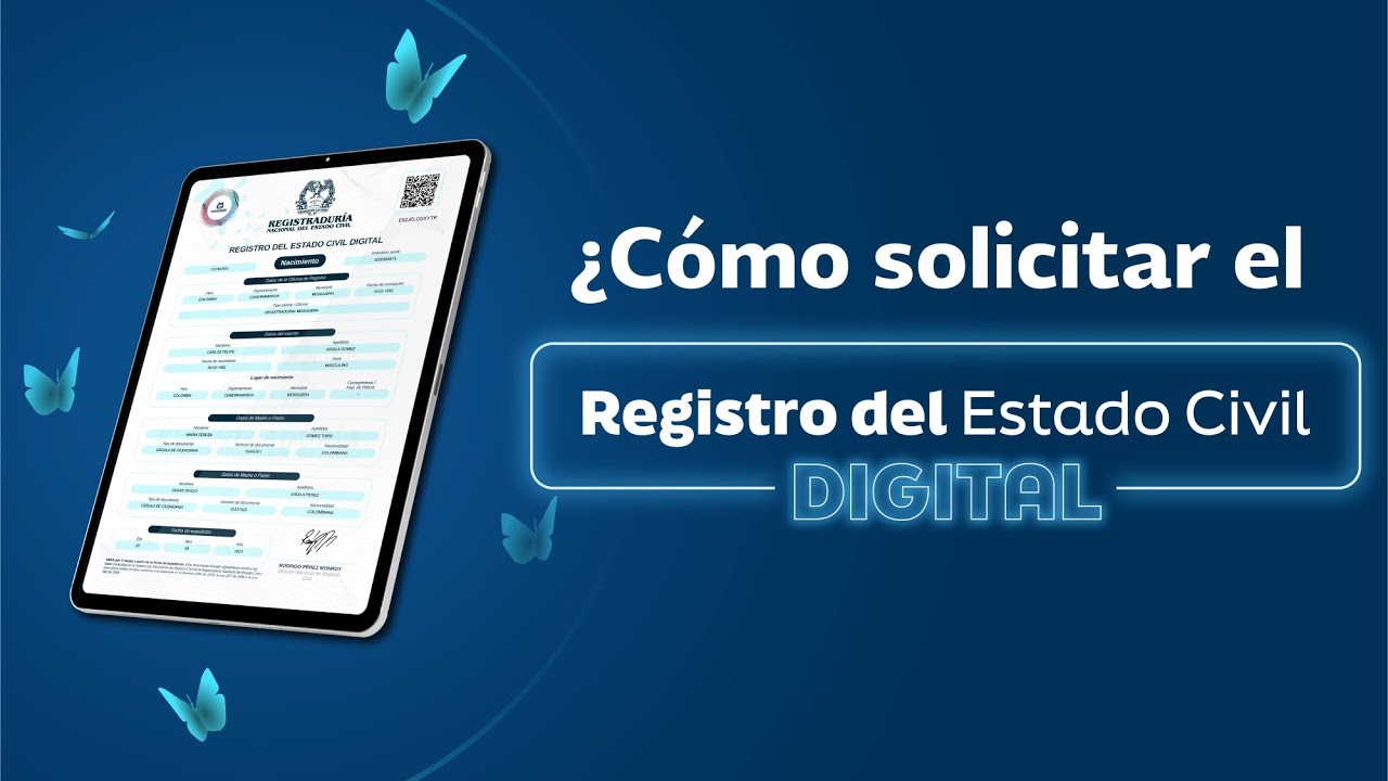 se puede pedir un registro civil por internet