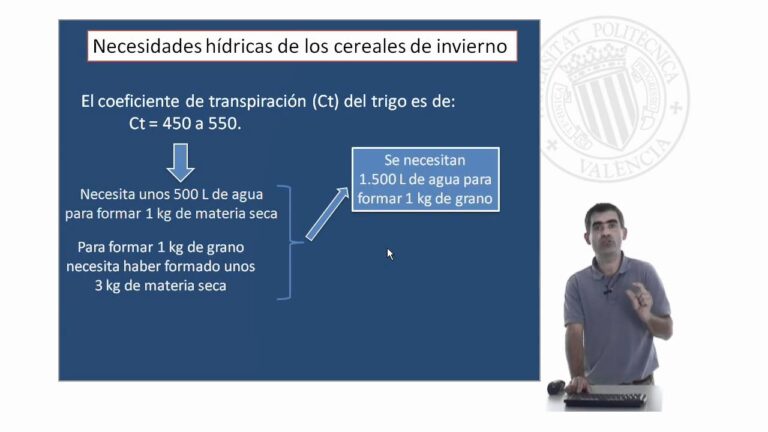 seguro integral de cereales de invierno en secano