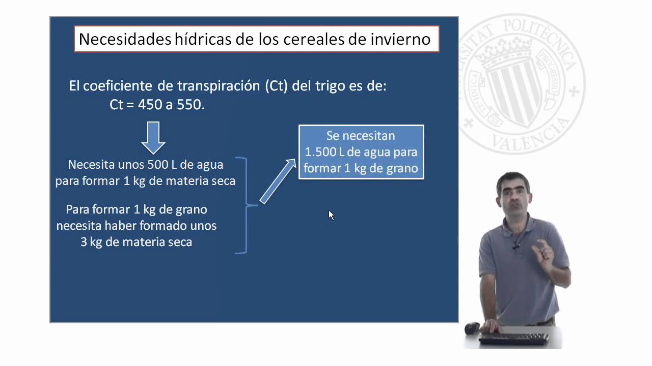 seguro integral de cereales de invierno en secano