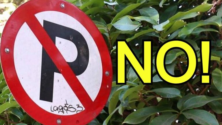 señales de trafico prohibido aparcar y su significado