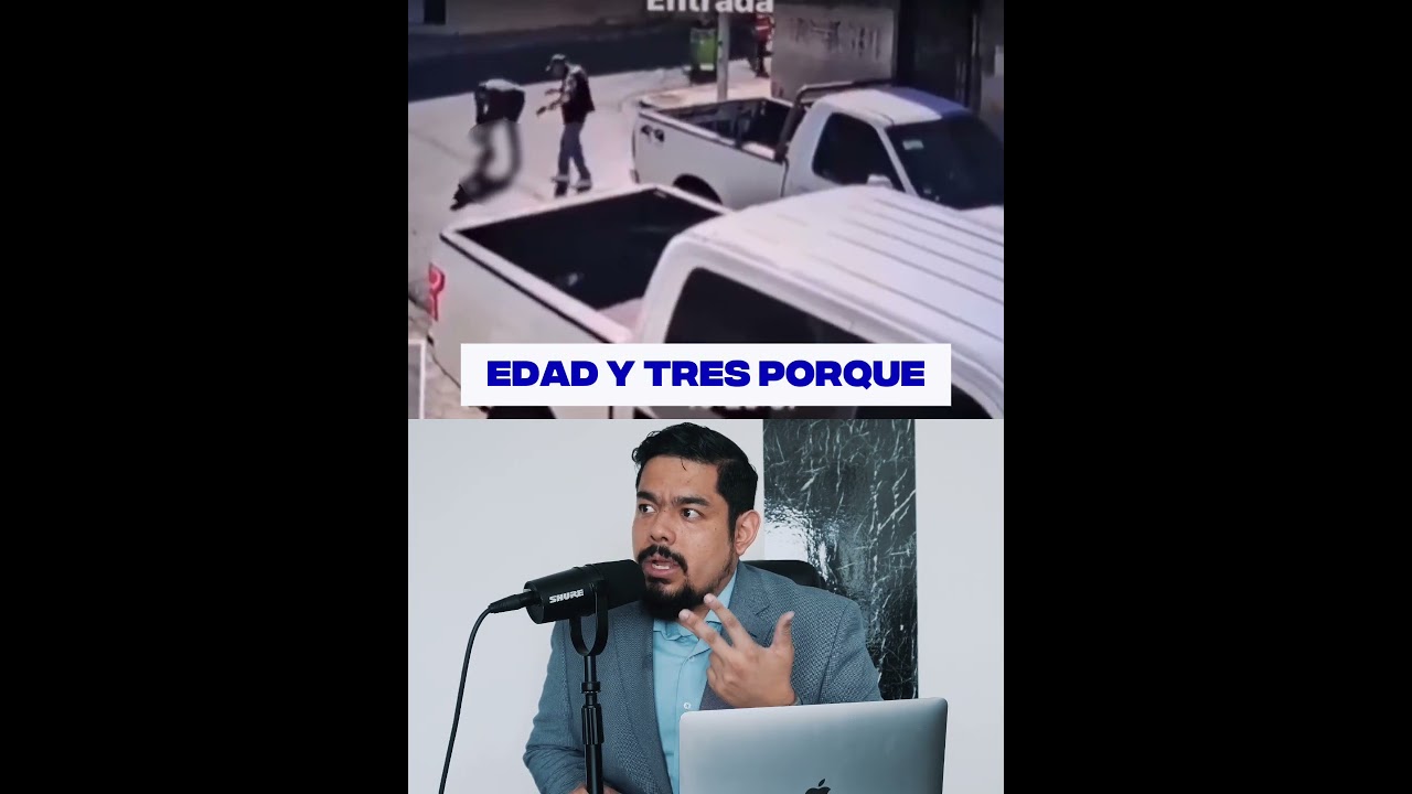 si atropellas a un perro quien tiene la culpa