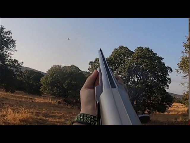 tiradas de tortolas y palomas en ciudad real