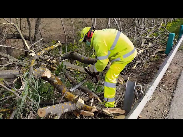 trabajar en conservacion de carreteras junta de andalucia