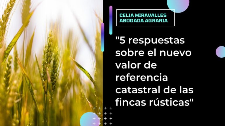 valor de referencia de bienes rusticos castilla la mancha