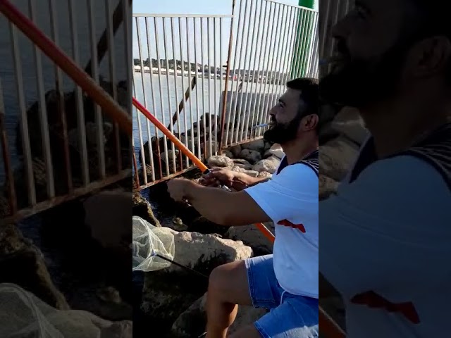 zonas de pesca en vilanova i la geltru